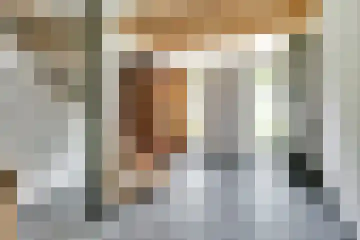 De Zate 42 Dronten thumbnail 6