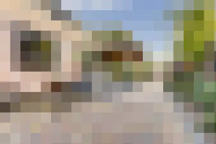 De Zate 42 Dronten thumbnail 62