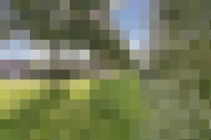 De Zate 42 Dronten thumbnail 68