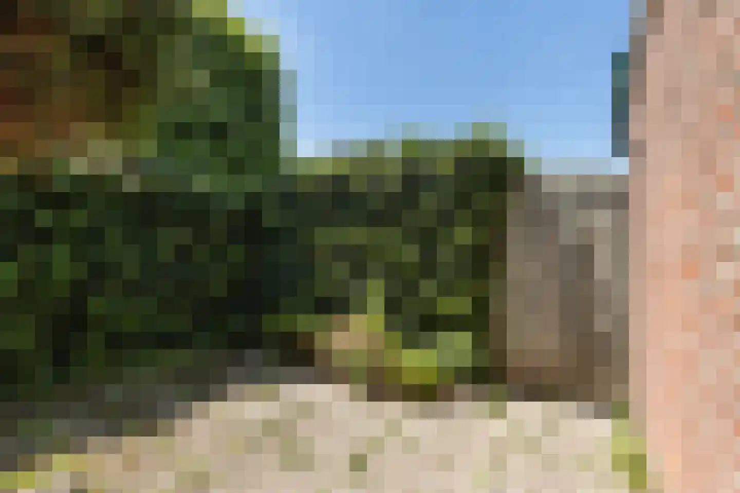 De Zeeg 12 Barendrecht thumbnail 23