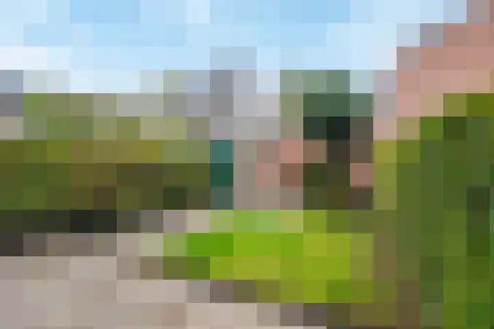 De Zeeg 38 Barendrecht thumbnail 26