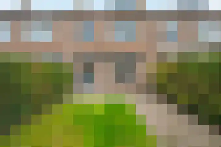 De Zeeg 38 Barendrecht thumbnail 28