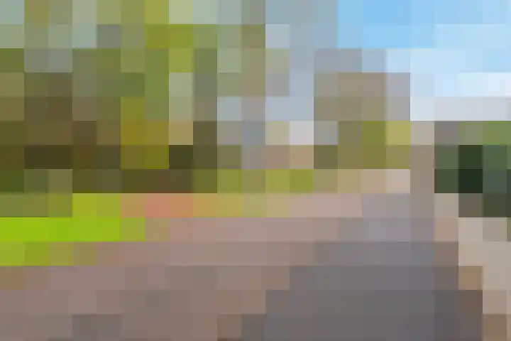 De Zeeg 38 Barendrecht thumbnail 30