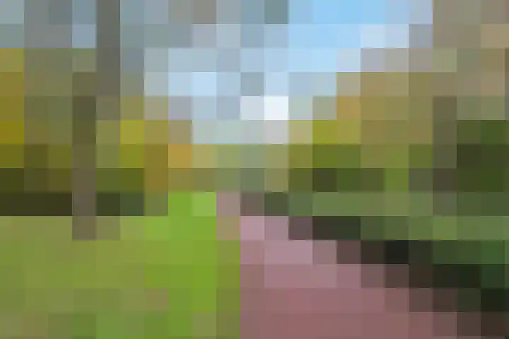 De Zeeg 38 Barendrecht thumbnail 31