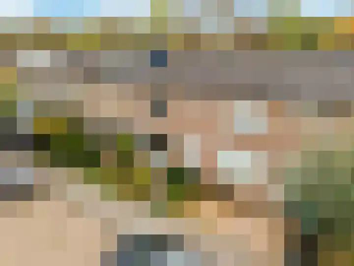 De Zeeg 38 Barendrecht thumbnail 37