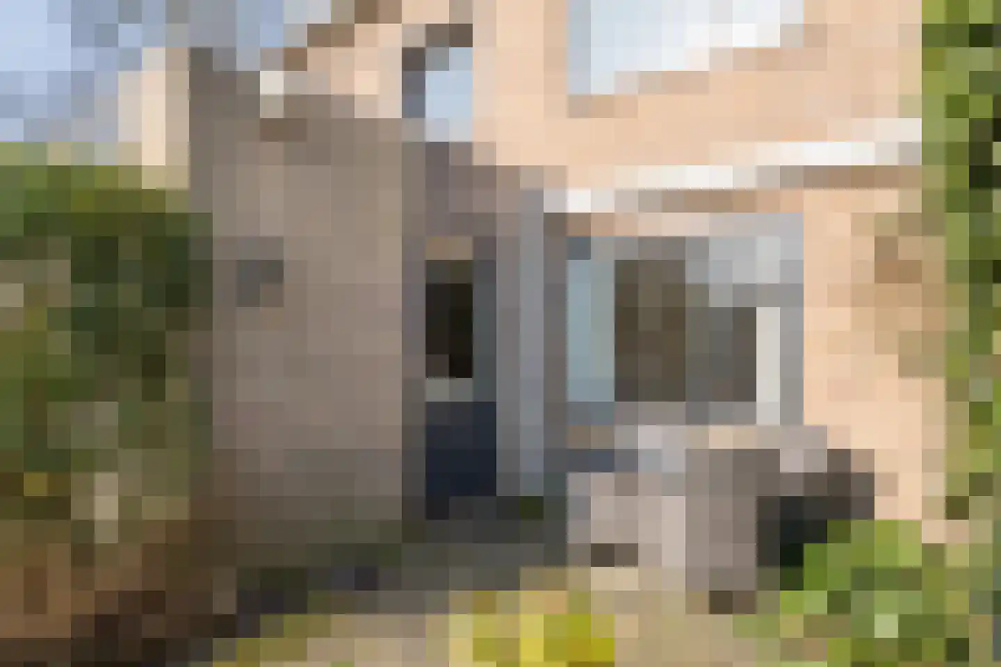 De Zeeg 54 Barendrecht thumbnail 25