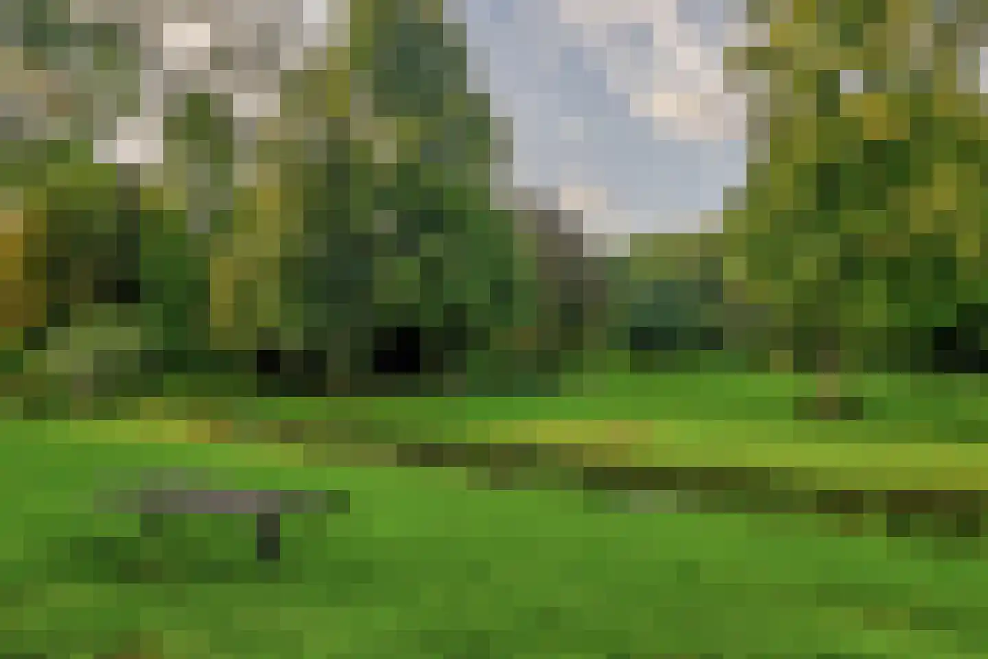 De Zeeg 60 Barendrecht thumbnail 35