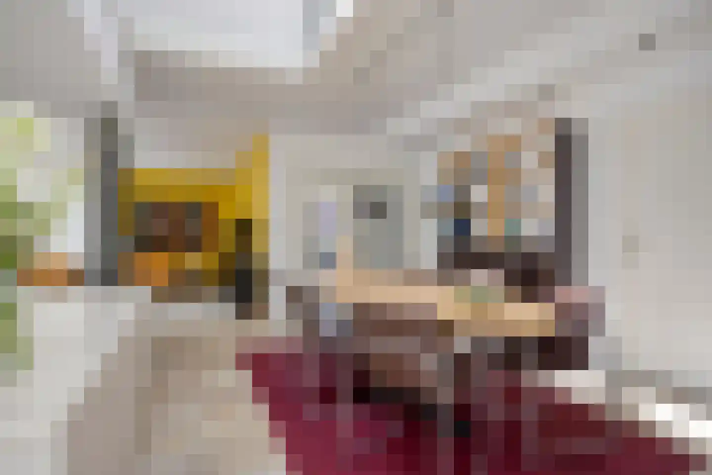 De Zeelder 6 Berlicum thumbnail 20