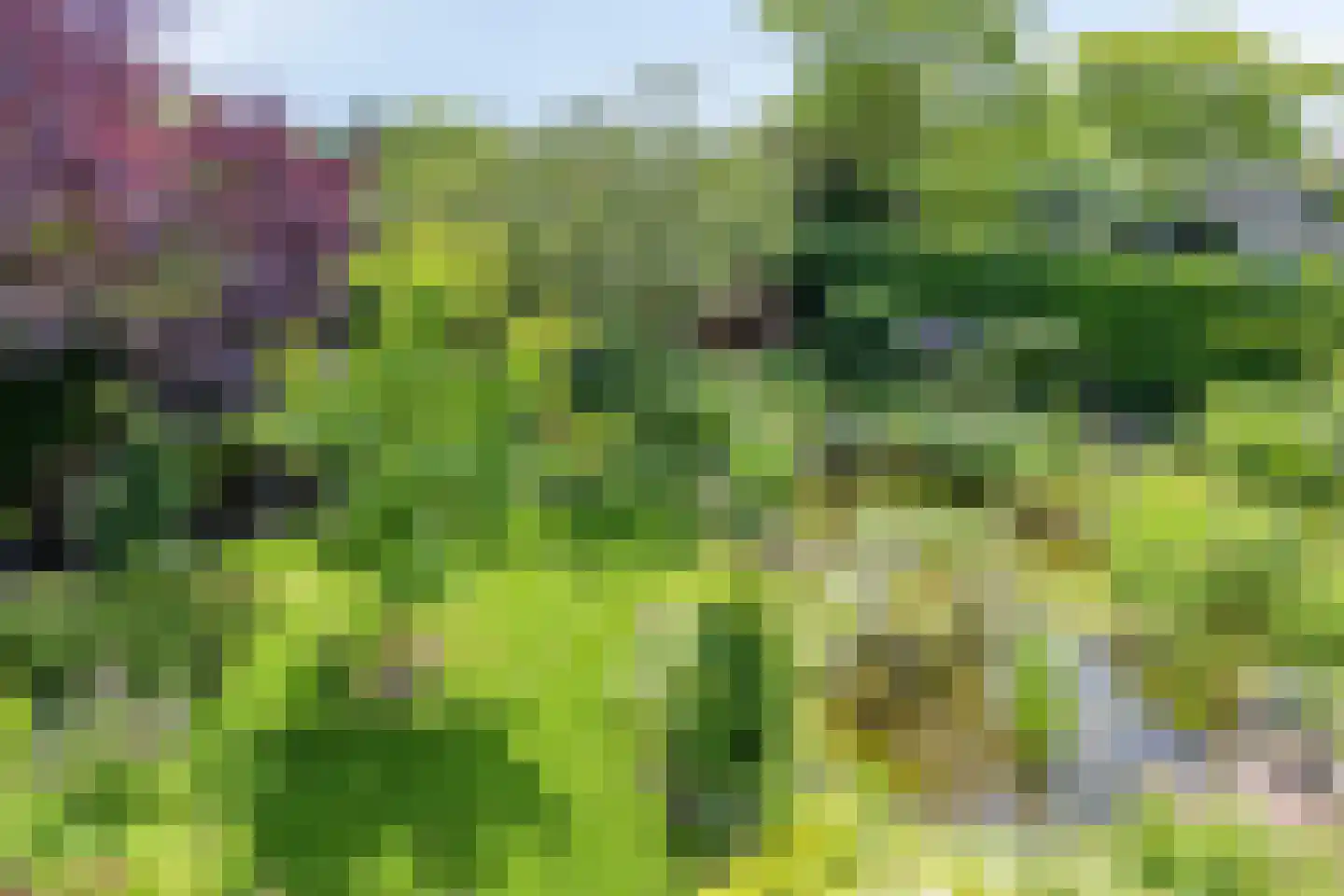De Zeelder 6 Berlicum thumbnail 48