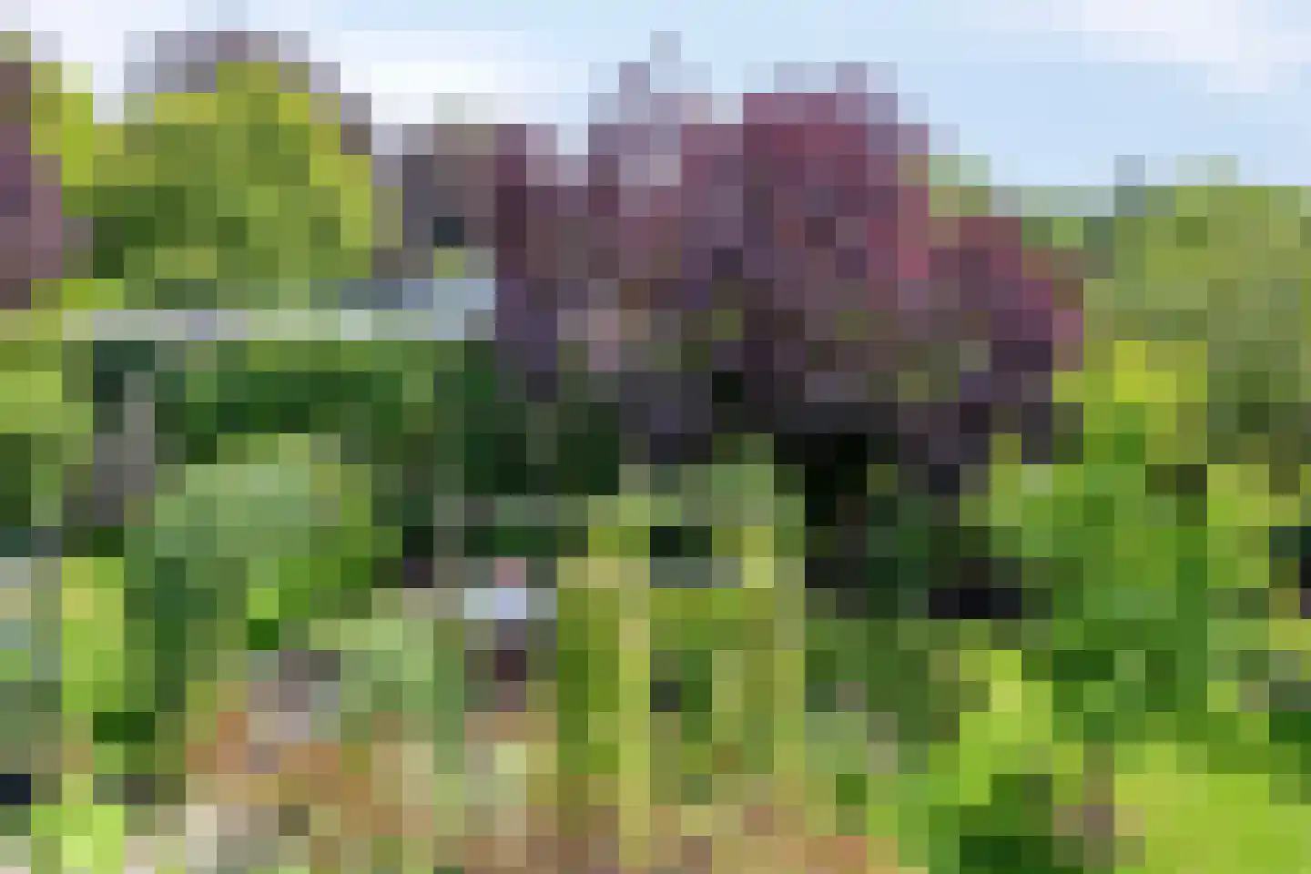 De Zeelder 6 Berlicum thumbnail 49