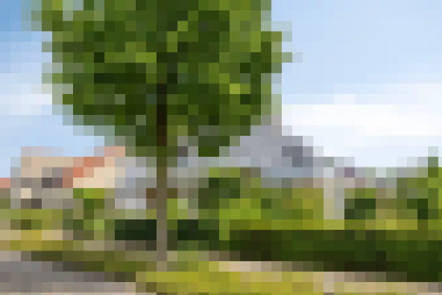 De Zeelder 6 Berlicum thumbnail 5