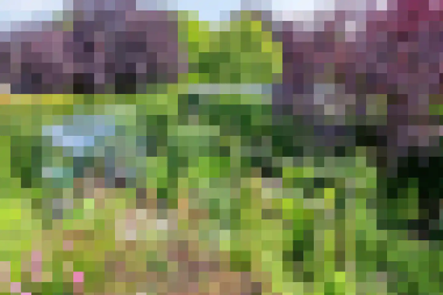 De Zeelder 6 Berlicum thumbnail 50