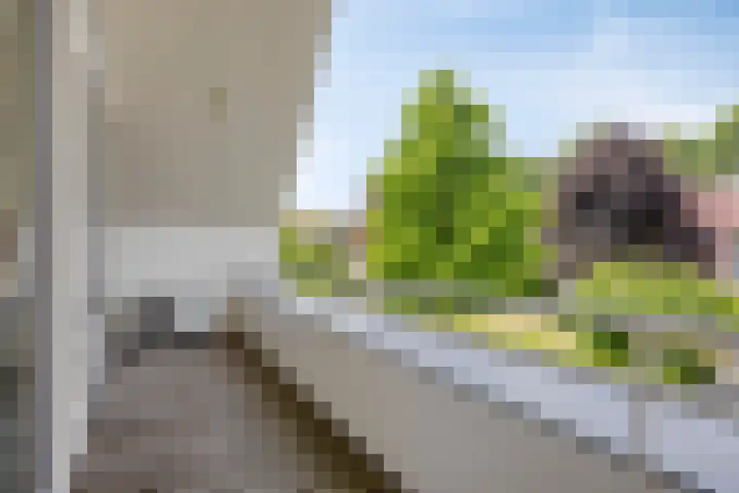 De Zeelder 6 Berlicum thumbnail 59