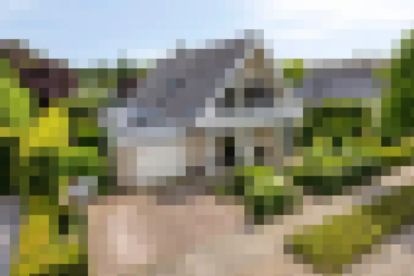 De Zeelder 6 Berlicum thumbnail 6