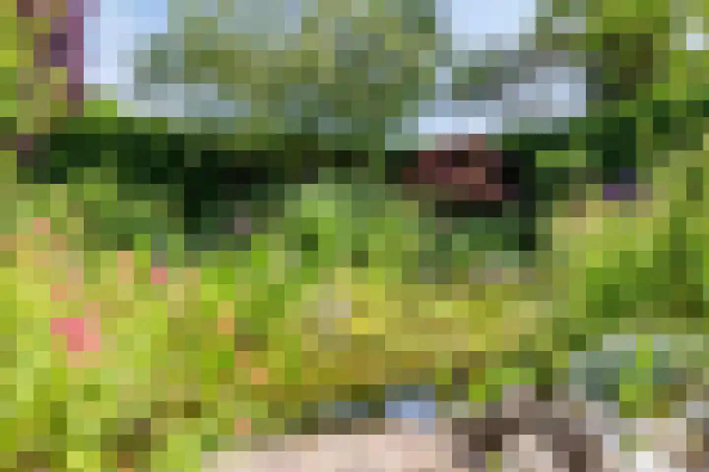 De Zeelder 6 Berlicum thumbnail 64
