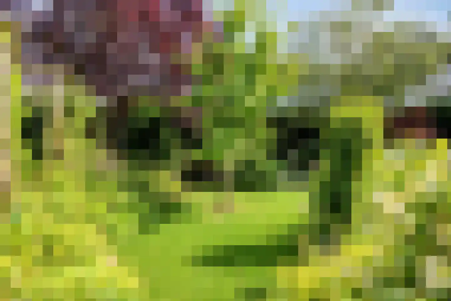 De Zeelder 6 Berlicum thumbnail 66