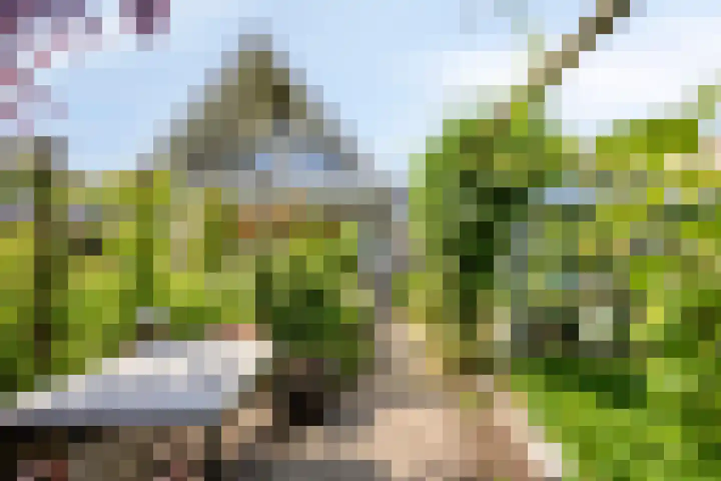 De Zeelder 6 Berlicum thumbnail 69