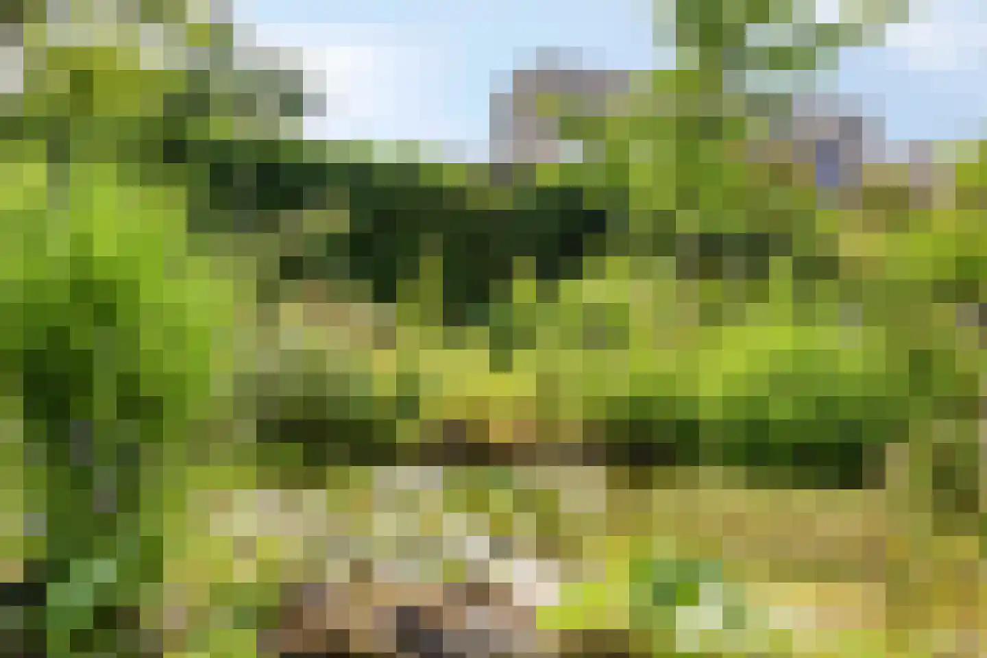 De Zeelder 6 Berlicum thumbnail 72