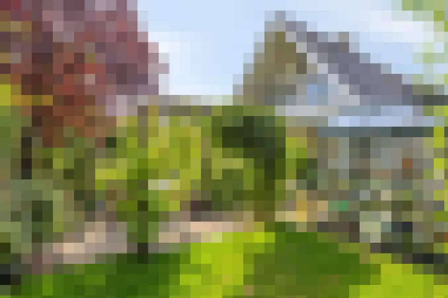 De Zeelder 6 Berlicum thumbnail 73