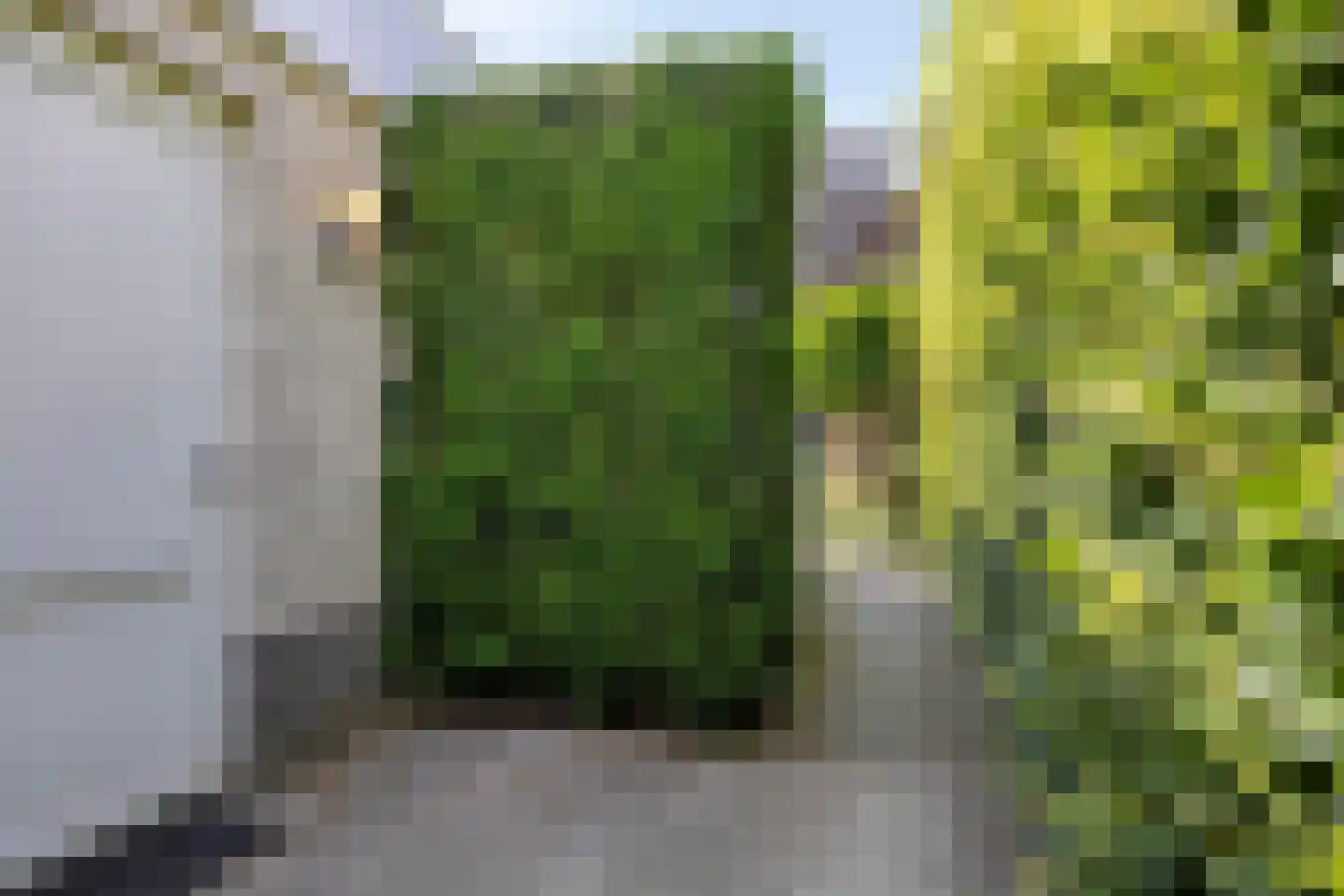 De Zeelder 6 Berlicum thumbnail 76