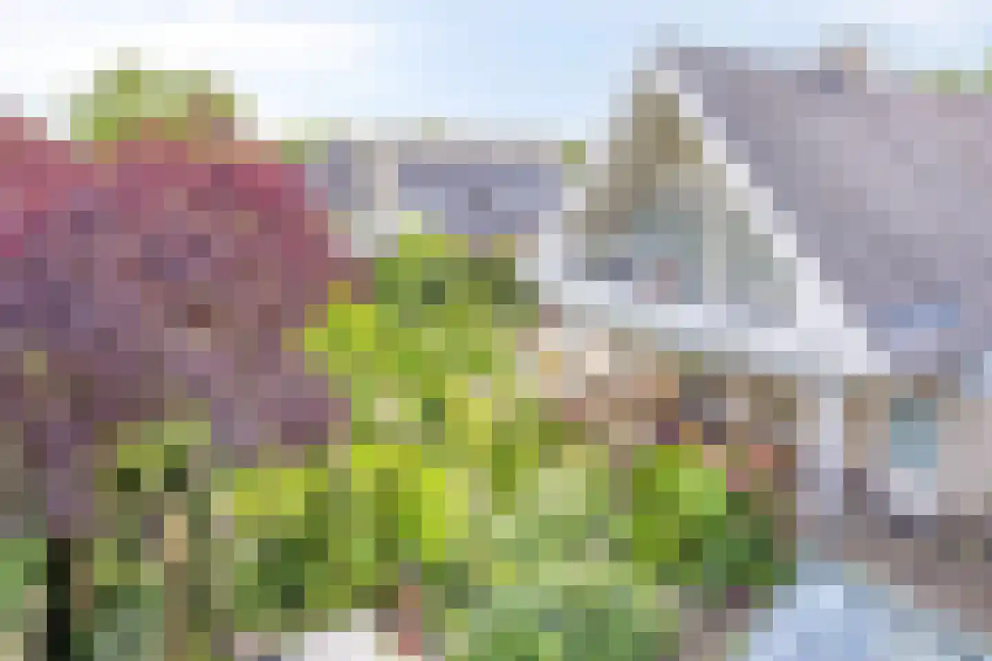 De Zeelder 6 Berlicum thumbnail 78