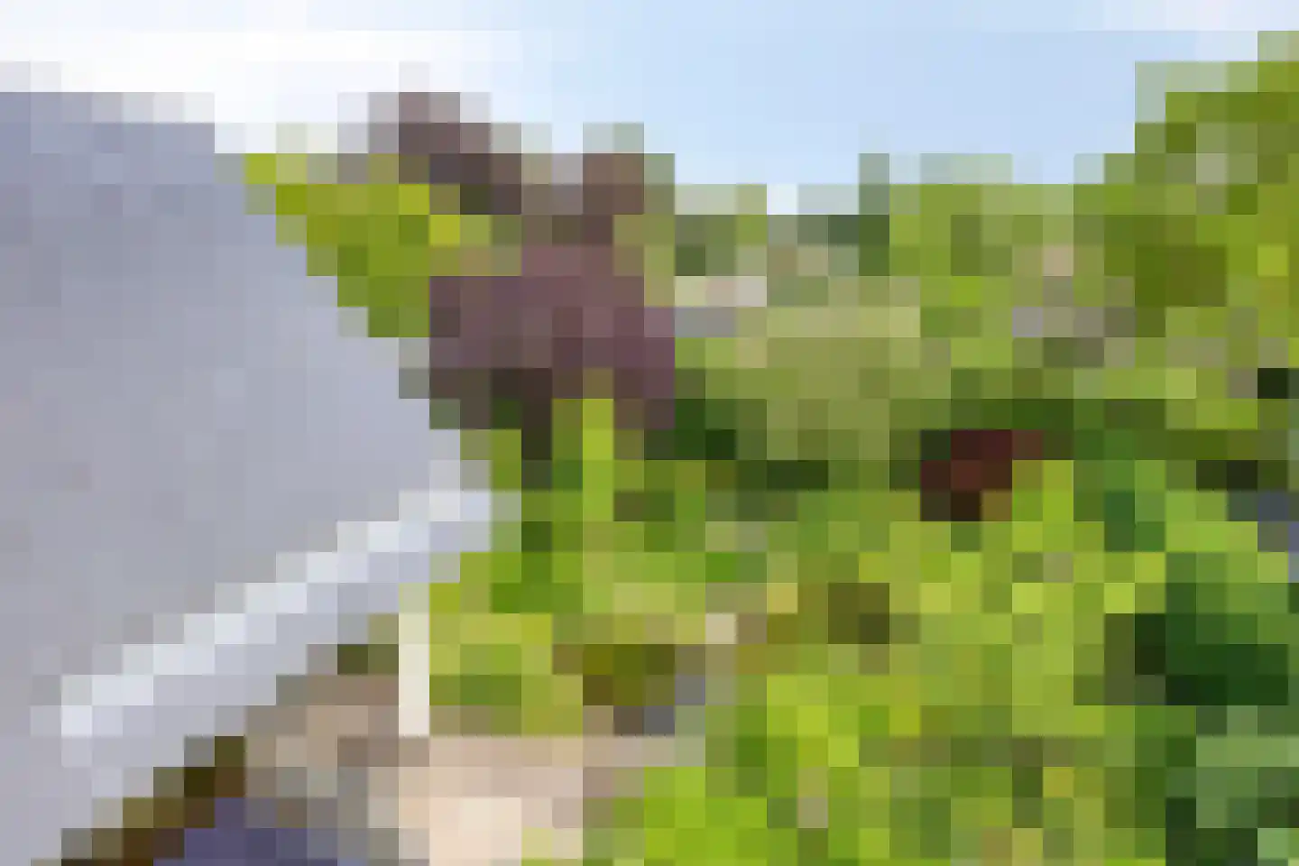 De Zeelder 6 Berlicum thumbnail 79