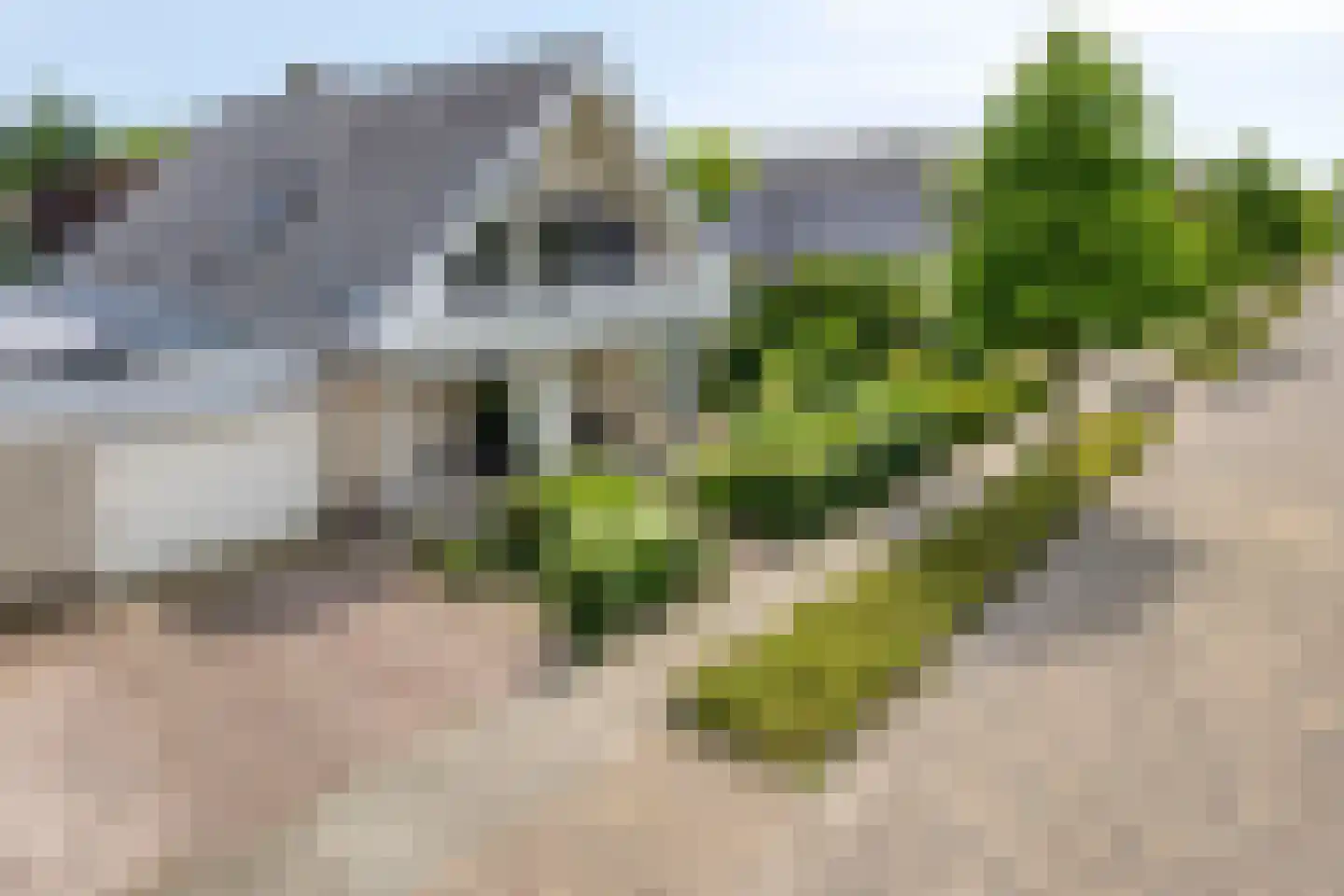De Zeelder 6 Berlicum thumbnail 80