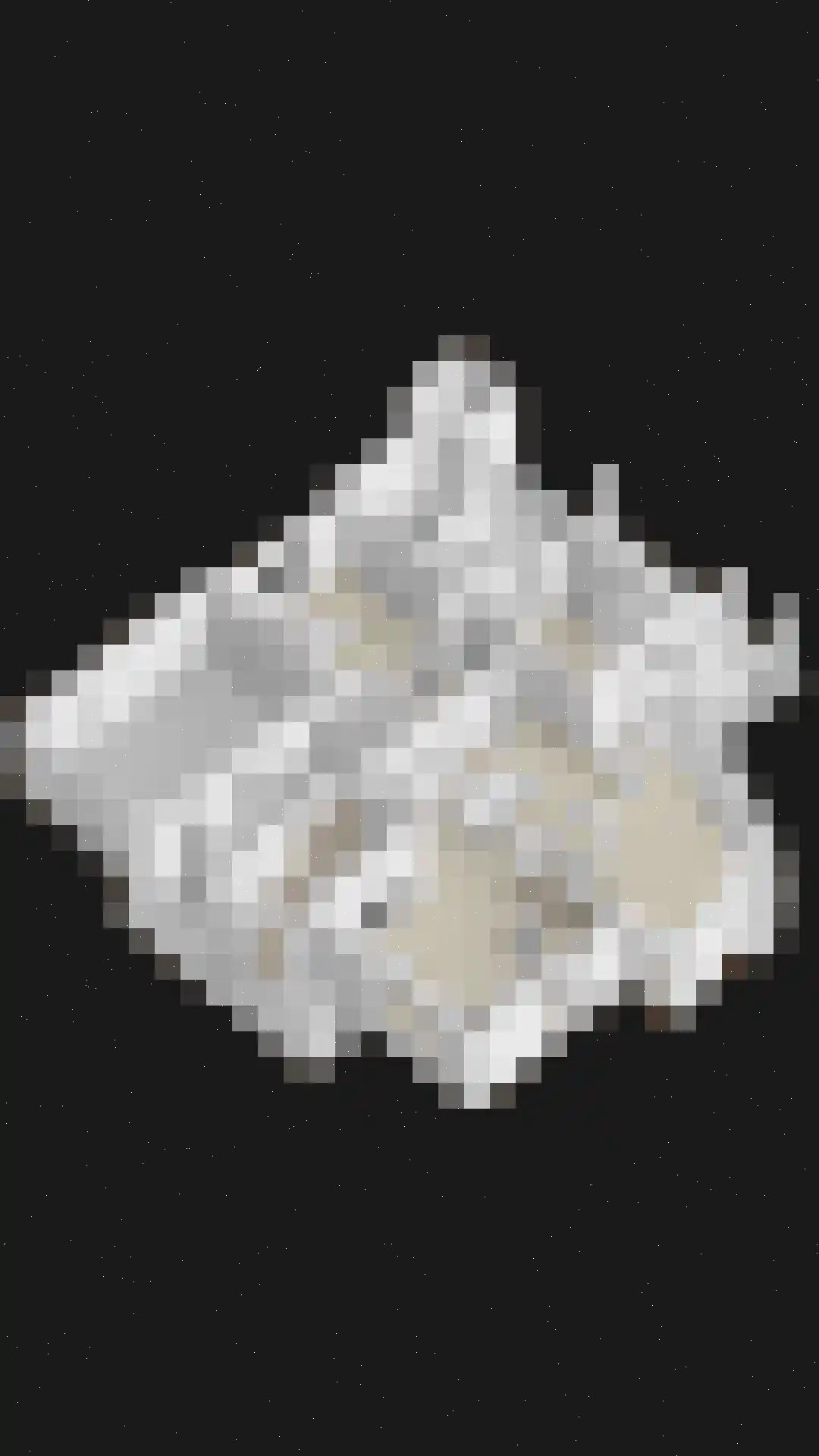 De Zeelder 6 Berlicum thumbnail 92