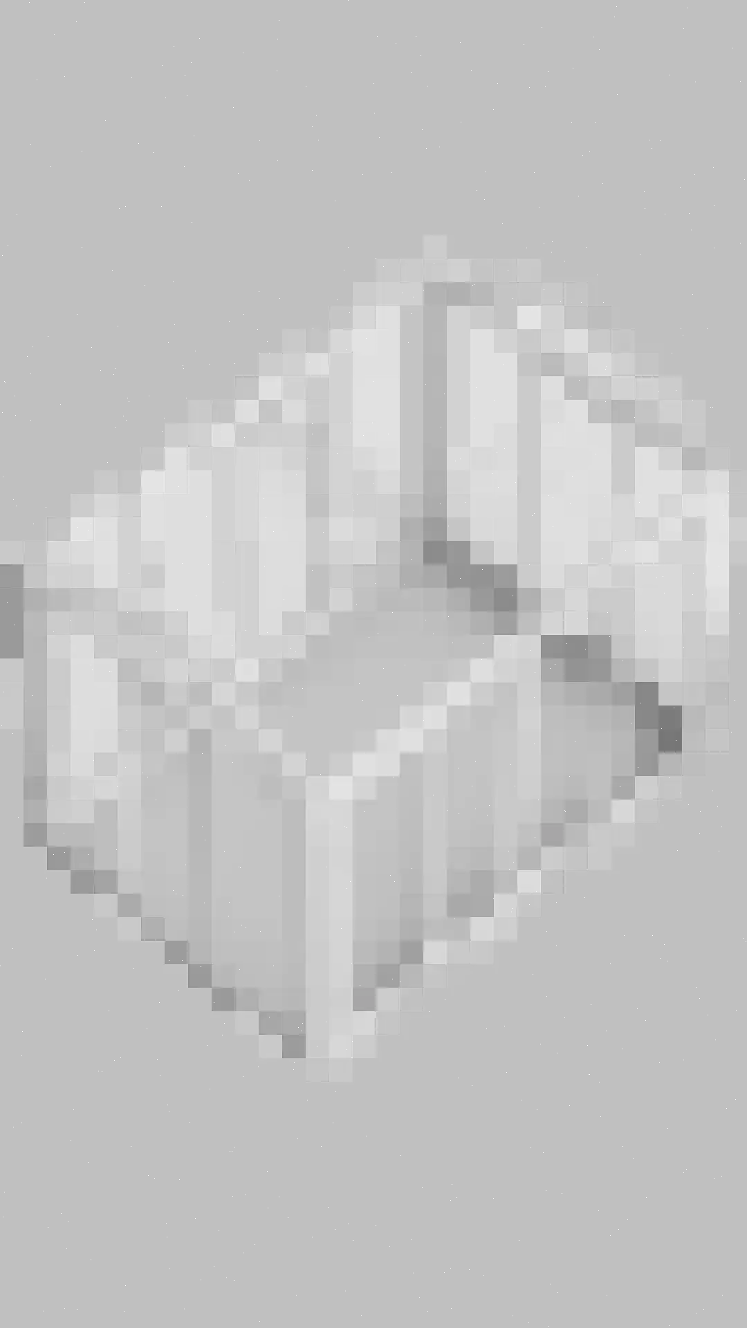 De Zeelder 6 Berlicum thumbnail 95