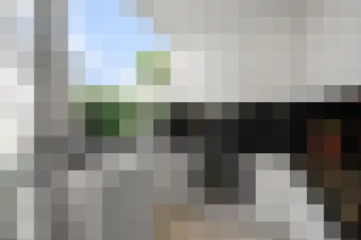 De Zeelt 12 Nieuwkoop thumbnail 10
