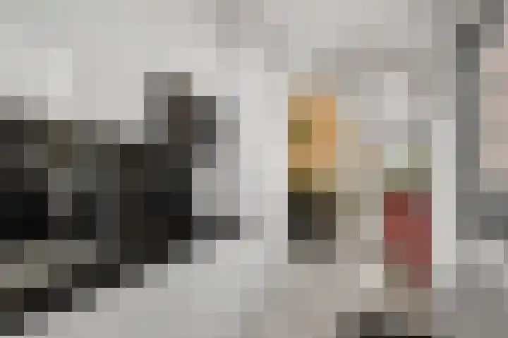 De Zeelt 12 Nieuwkoop thumbnail 11