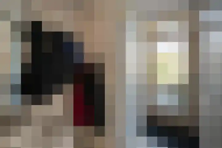 De Zeelt 12 Nieuwkoop thumbnail 13