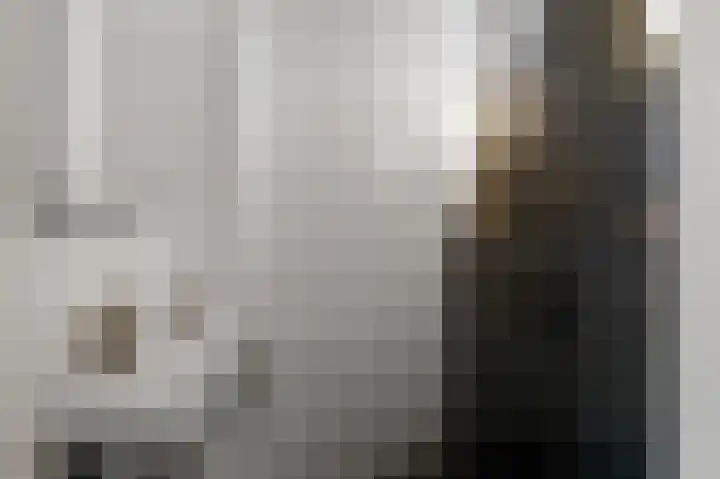 De Zeelt 12 Nieuwkoop thumbnail 15