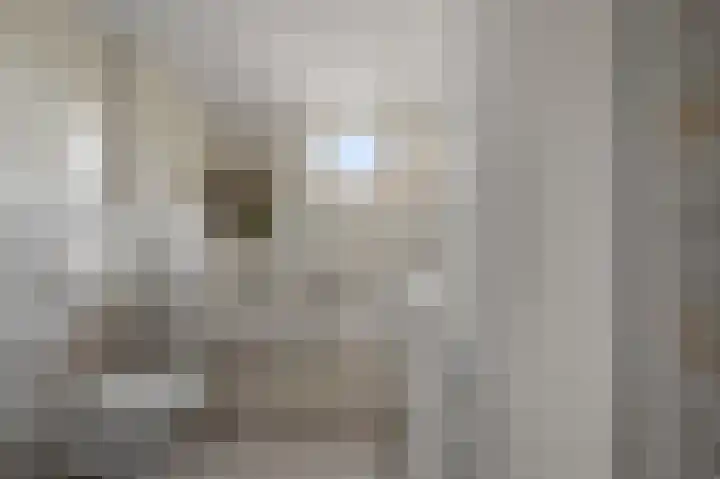 De Zeelt 12 Nieuwkoop thumbnail 22