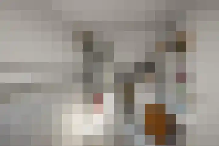 De Zeelt 12 Nieuwkoop thumbnail 29