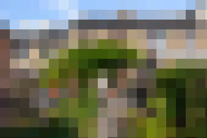 De Zeelt 12 Nieuwkoop thumbnail 30