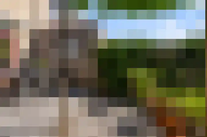 De Zeelt 12 Nieuwkoop thumbnail 31