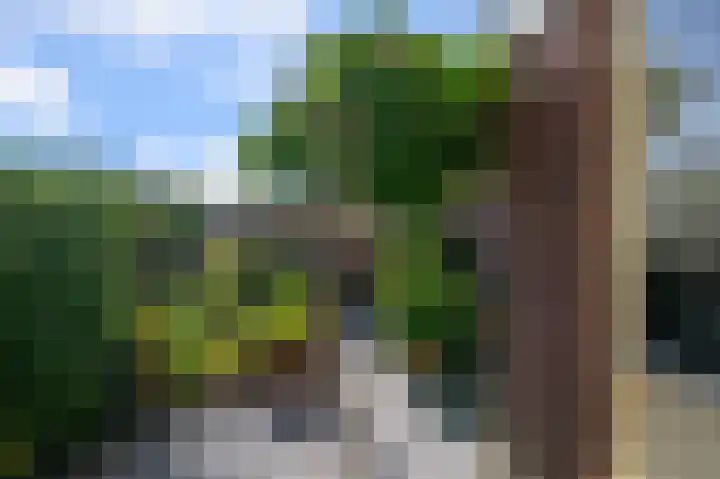 De Zeelt 12 Nieuwkoop thumbnail 32