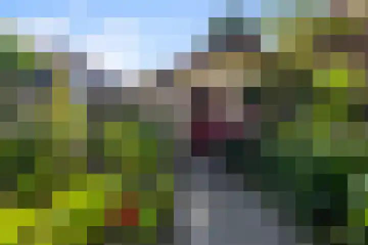 De Zeelt 12 Nieuwkoop thumbnail 33