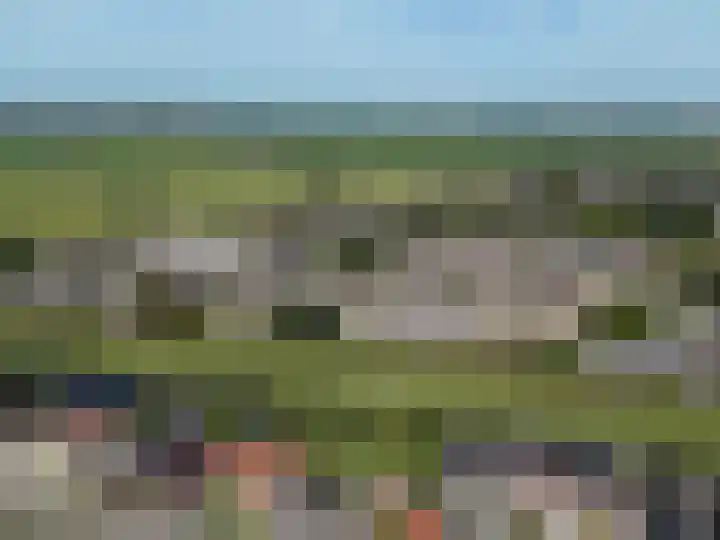 De Zeelt 12 Nieuwkoop thumbnail 36