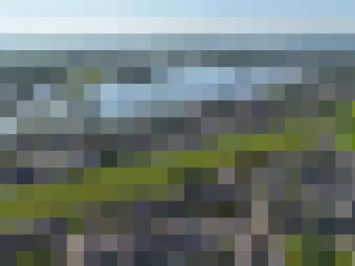 De Zeelt 12 Nieuwkoop thumbnail 37