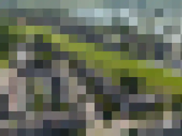 De Zeelt 12 Nieuwkoop thumbnail 38