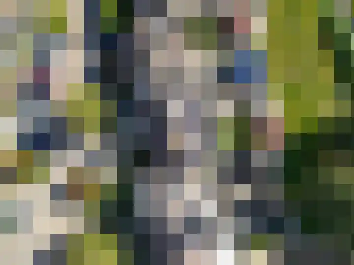 De Zeelt 12 Nieuwkoop thumbnail 39
