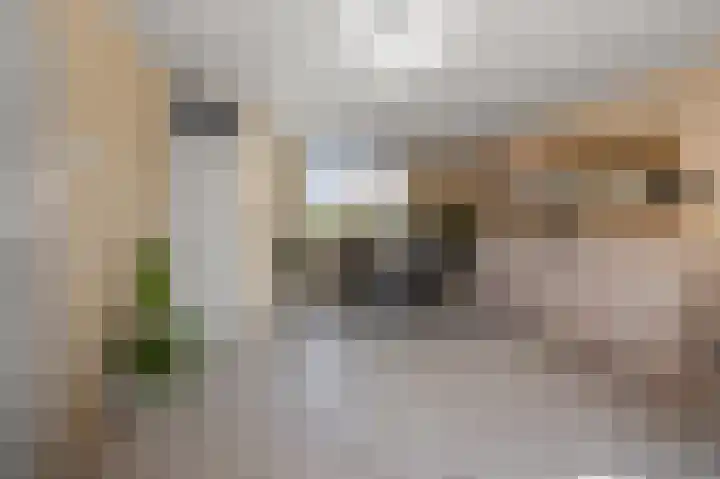 De Zeelt 12 Nieuwkoop thumbnail 6