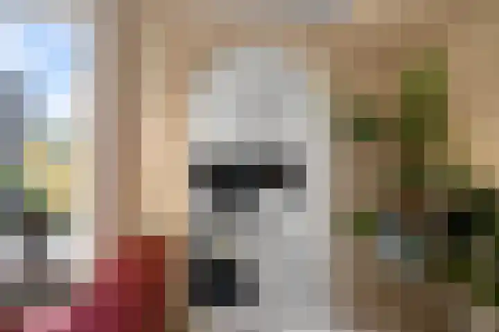 De Zeelt 12 Nieuwkoop thumbnail 8