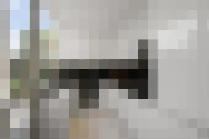 De Zeelt 12 Nieuwkoop thumbnail 9