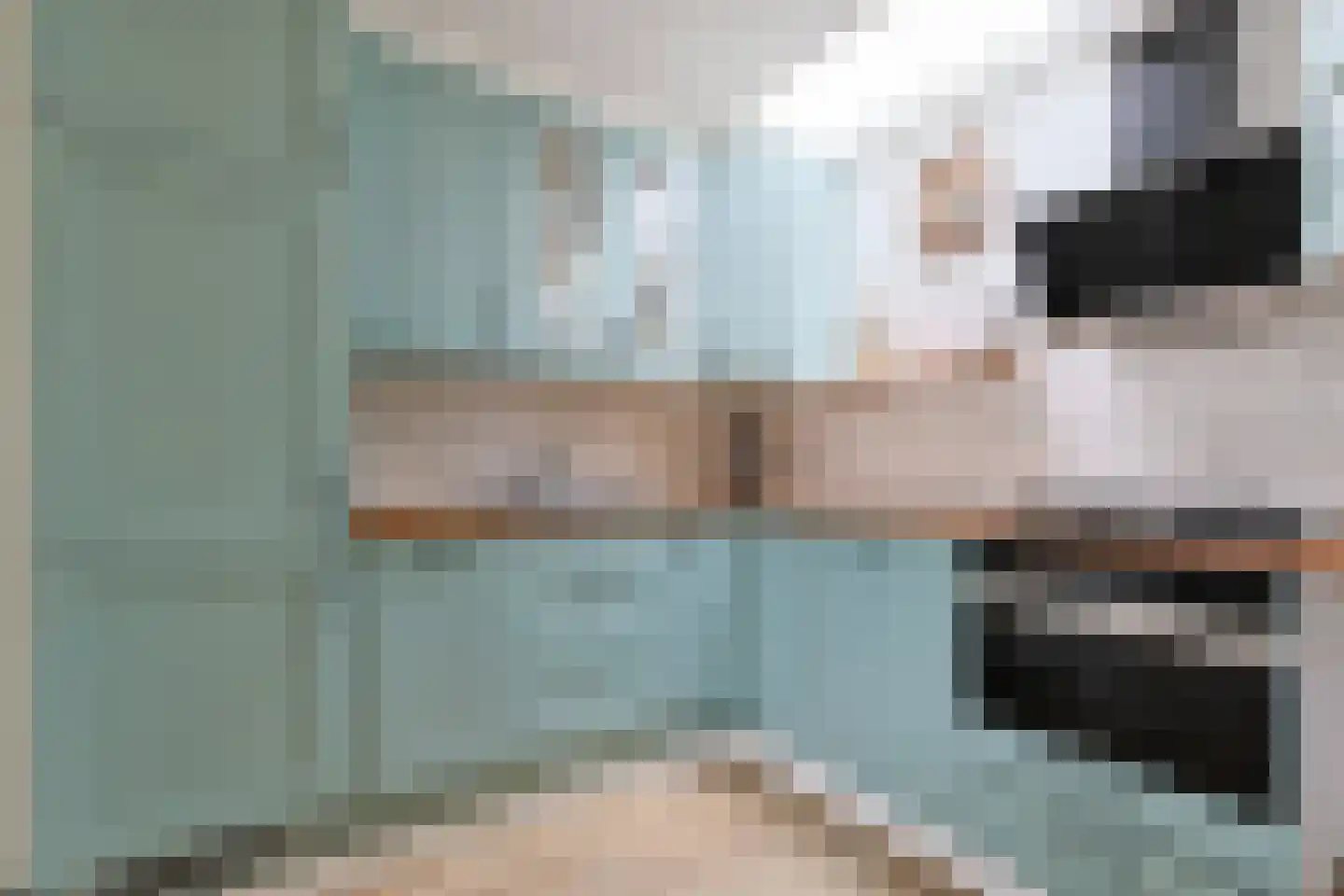 De Zeelt 2 Nieuwkoop thumbnail 22
