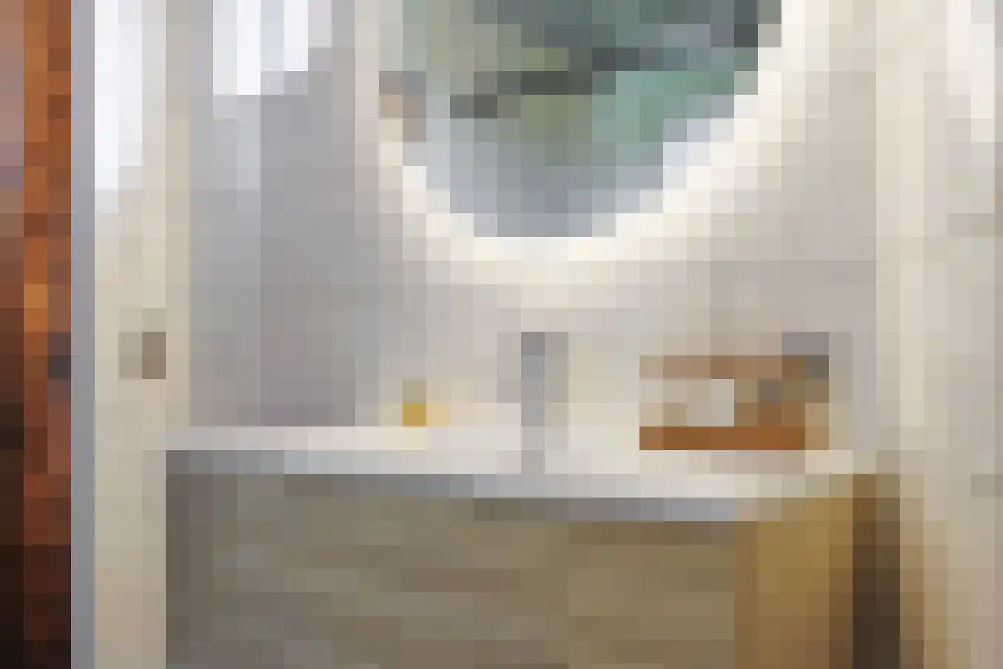 De Zeelt 2 Nieuwkoop thumbnail 30