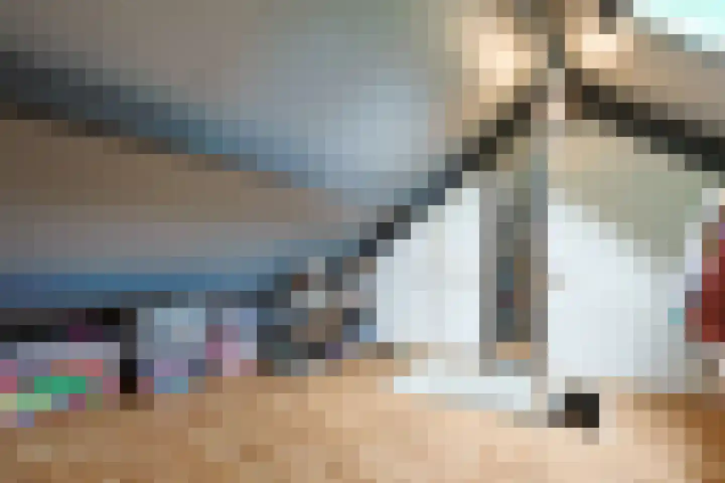 De Zeelt 2 Nieuwkoop thumbnail 34