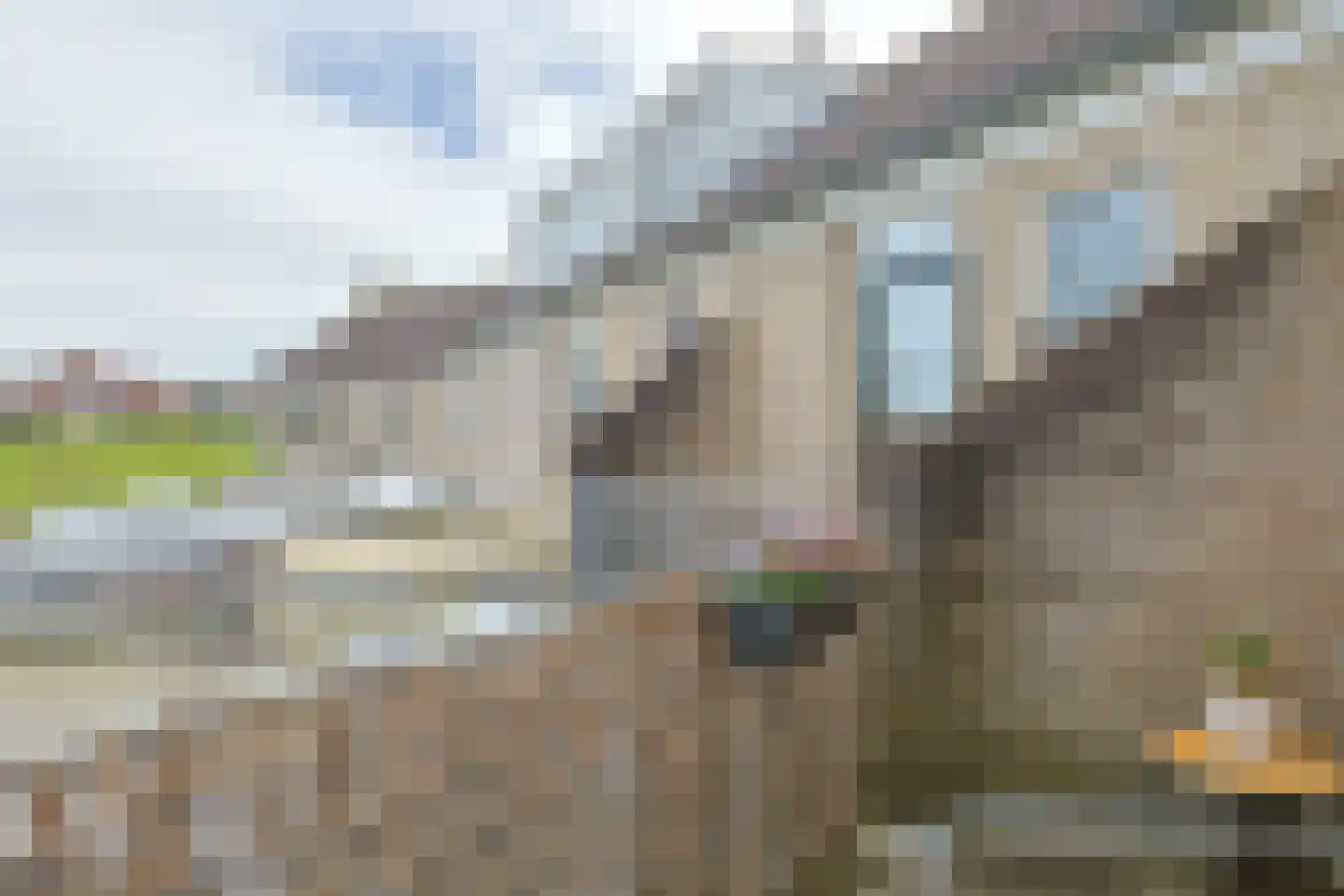 De Zeelt 2 Nieuwkoop thumbnail 38